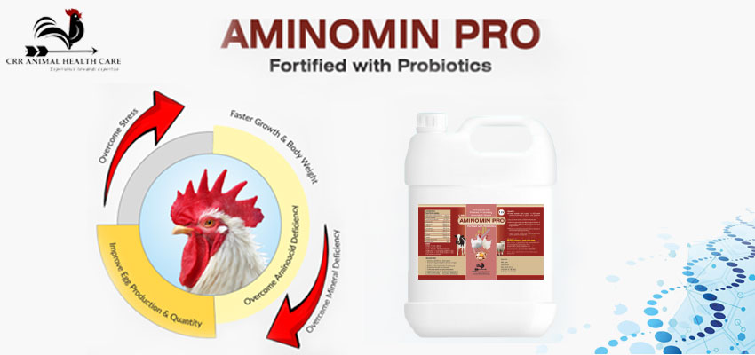 Aminomin Pro - Growth Promoter for Poultry and Livestock