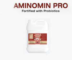 Aminomin Pro - Growth Promoter