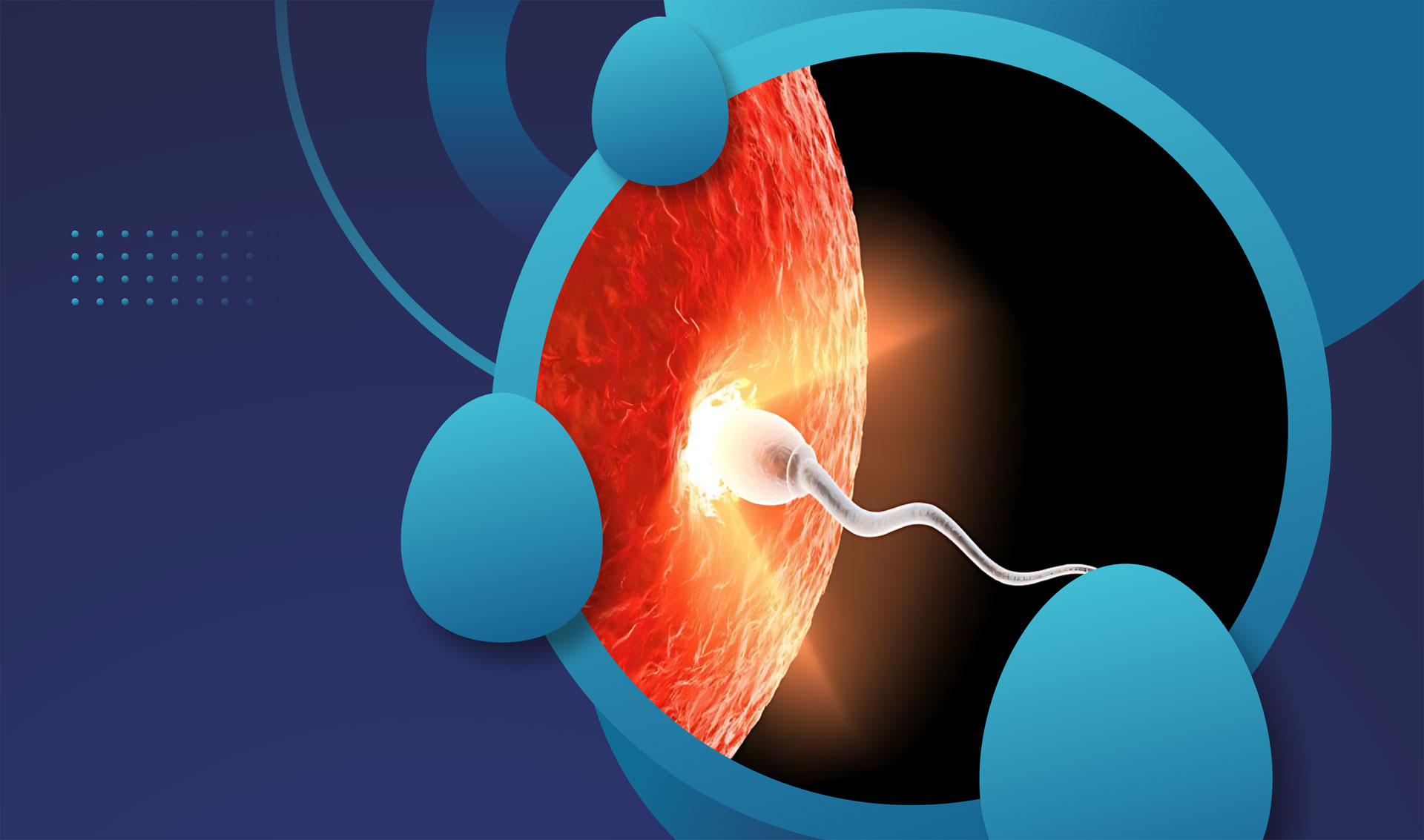 Qualisperm - Science-Backed Rooster Fertility Support