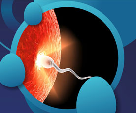 Qualisperm - Rooster Fertility Support
